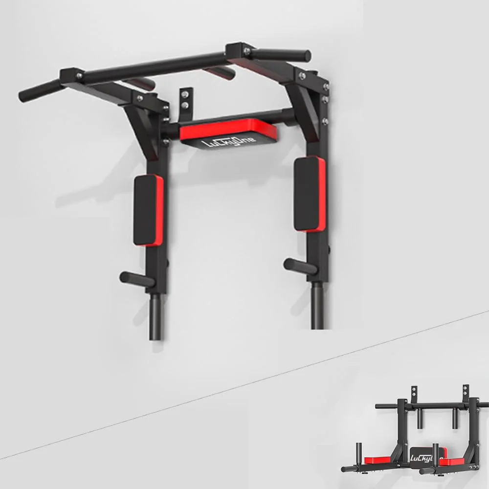 Multifunctional Wall Mounted Pull Up Bar Review